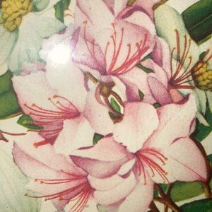 Meet your Posher, Douglas